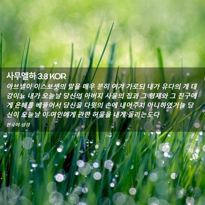 Picture 02 - 사무엘하 3:8 KOR - 아브넬이 이스보셋의 말을 매우 분히 - Bible Verse Picture
