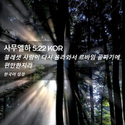Picture 02 - 사무엘하 5:22 KOR - 블레셋 사람이 다시 올라와서 르바임 - Bible Verse Picture