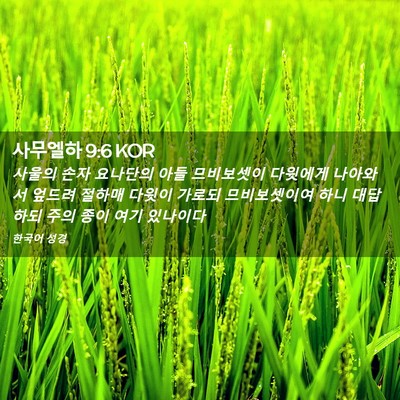 Picture 02 - 사무엘하 9:6 KOR - 사울의 손자 요나단의 아들 - Bible Verse Picture