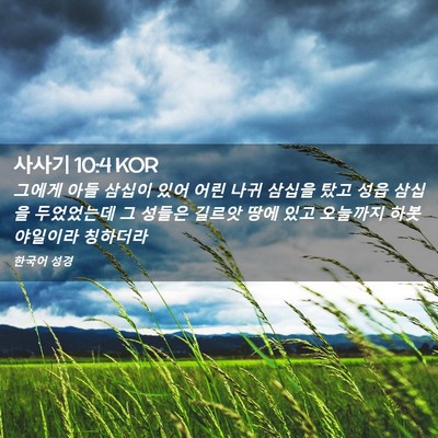 Picture 02 - 사사기 10:4 KOR - 그에게 아들 삼십이 있어 어린 나귀 - Bible Verse Picture
