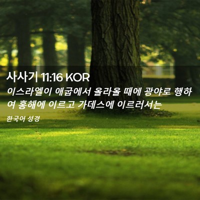 Picture 02 - 사사기 11:16 KOR - 이스라엘이 애굽에서 올라올 때에 - Bible Verse Picture