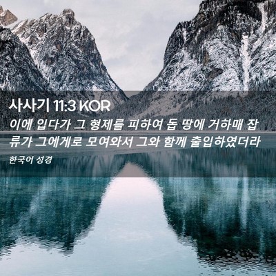 Picture 02 - 사사기 11:3 KOR - 이에 입다가 그 형제를 피하여 돕 - Bible Verse Picture