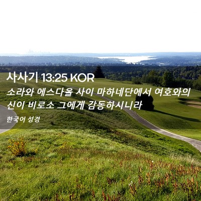 Picture 02 - 사사기 13:25 KOR - 소라와 에스다올 사이 마하네단에서 - Bible Verse Picture