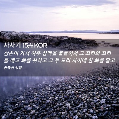 Picture 02 - 사사기 15:4 KOR - 삼손이 가서 여우 삼백을 붙들어서 - Bible Verse Picture