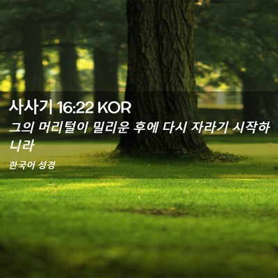 Picture 02 - 사사기 16:22 KOR - 그의 머리털이 밀리운 후에 다시 - Bible Verse Picture