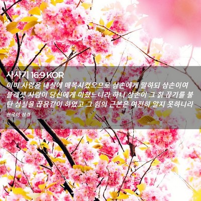 Picture 02 - 사사기 16:9 KOR - 이미 사람을 내실에 매복시켰으므로 - Bible Verse Picture
