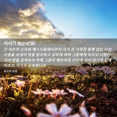 Picture 02 - 사사기 18:2 KOR - 단 자손이 소라와 에스다올에서부터 - Bible Verse Picture