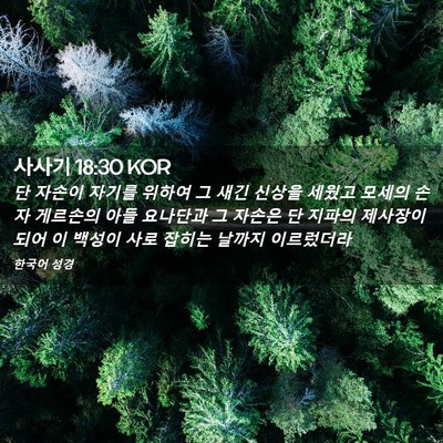 Picture 02 - 사사기 18:30 KOR - 단 자손이 자기를 위하여 그 새긴 - Bible Verse Picture