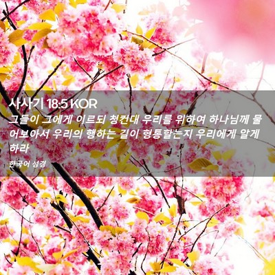 Picture 02 - 사사기 18:5 KOR - 그들이 그에게 이르되 청컨대 우리를 - Bible Verse Picture