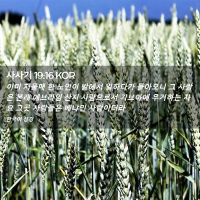 Picture 02 - 사사기 19:16 KOR - 이미 저물매 한 노인이 밭에서 - Bible Verse Picture