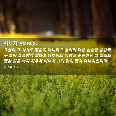Picture 02 - 사사기 2:17 KOR - 그들이 그 사사도 청종치 아니하고 - Bible Verse Picture