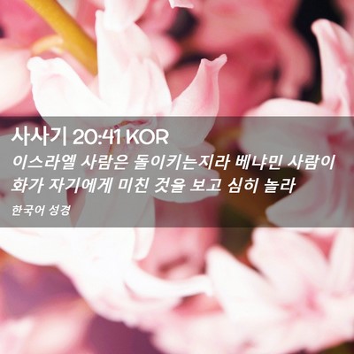 Picture 02 - 사사기 20:41 KOR - 이스라엘 사람은 돌이키는지라 - Bible Verse Picture