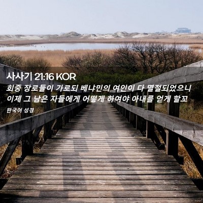 Picture 02 - 사사기 21:16 KOR - 회중 장로들이 가로되 베냐민의 - Bible Verse Picture