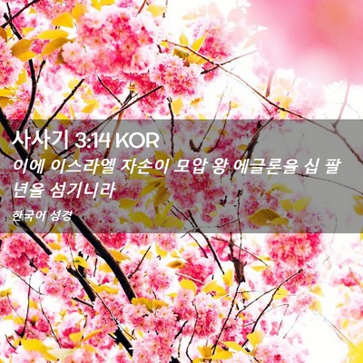 Picture 02 - 사사기 3:14 KOR - 이에 이스라엘 자손이 모압 왕 - Bible Verse Picture