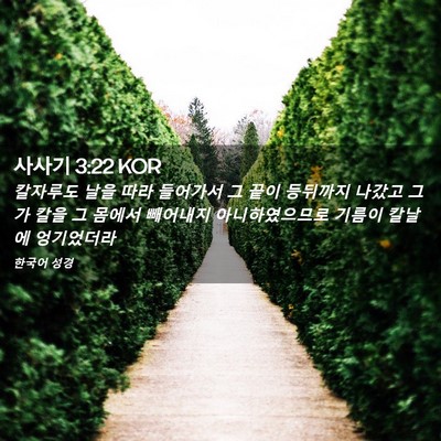 Picture 02 - 사사기 3:22 KOR - 칼자루도 날을 따라 들어가서 그 - Bible Verse Picture