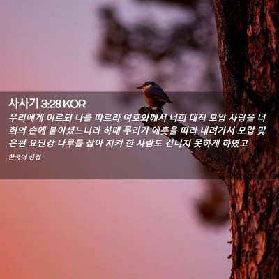 Picture 02 - 사사기 3:28 KOR - 무리에게 이르되 나를 따르라 - Bible Verse Picture