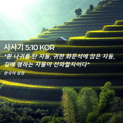 Picture 02 - 사사기 5:10 KOR - 