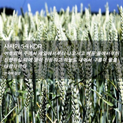 Picture 02 - 사사기 5:4 KOR - 여호와여 주께서 세일에서부터 - Bible Verse Picture