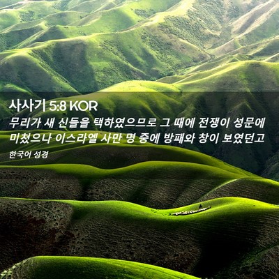 Picture 02 - 사사기 5:8 KOR - 무리가 새 신들을 택하였으므로 그 - Bible Verse Picture