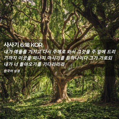 Picture 02 - 사사기 6:18 KOR - 내가 예물을 가지고 다시 주께로 - Bible Verse Picture