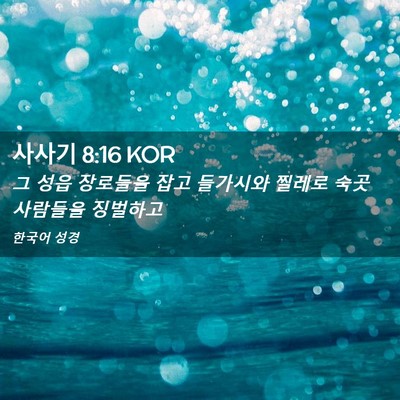 Picture 02 - 사사기 8:16 KOR - 그 성읍 장로들을 잡고 들가시와 - Bible Verse Picture