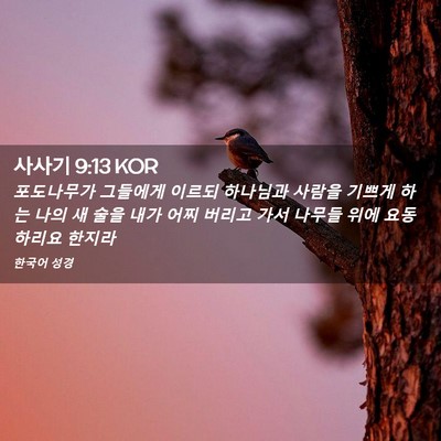 Picture 02 - 사사기 9:13 KOR - 포도나무가 그들에게 이르되 - Bible Verse Picture