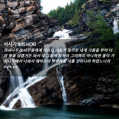 Picture 02 - 사사기 9:15 KOR - 가시나무가 나무들에게 이르되 - Bible Verse Picture