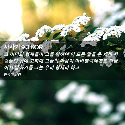 Picture 02 - 사사기 9:3 KOR - 그 어미의 형제들이 그를 위하여 이 - Bible Verse Picture