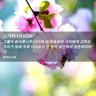 Picture 02 - 스가랴 1:11 KOR - 그들이 화석류나무 사이에 선 - Bible Verse Picture