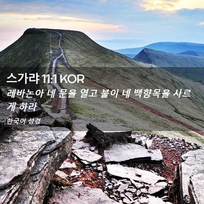Picture 02 - 스가랴 11:1 KOR - 레바논아 네 문을 열고 불이 네 - Bible Verse Picture