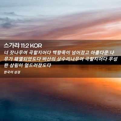 Picture 02 - 스가랴 11:2 KOR - 너 잣나무여 곡할지어다 백향목이 - Bible Verse Picture