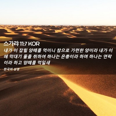 Picture 02 - 스가랴 11:7 KOR - 내가 이 잡힐 양떼를 먹이니 참으로 - Bible Verse Picture