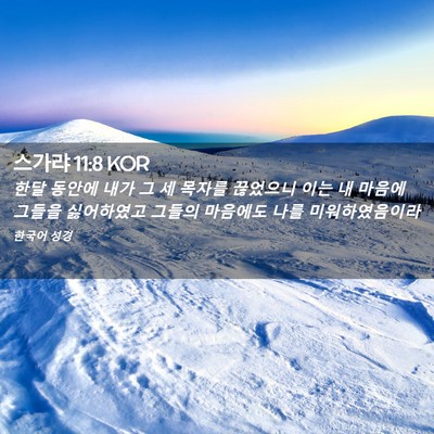 Picture 02 - 스가랴 11:8 KOR - 한달 동안에 내가 그 세 목자를 - Bible Verse Picture