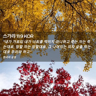Picture 02 - 스가랴 11:9 KOR - 