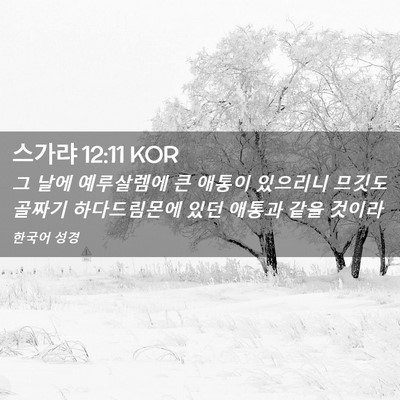 Picture 02 - 스가랴 12:11 KOR - 그 날에 예루살렘에 큰 애통이 - Bible Verse Picture