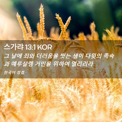 Picture 02 - 스가랴 13:1 KOR - 그 날에 죄와 더러움을 씻는 샘이 - Bible Verse Picture