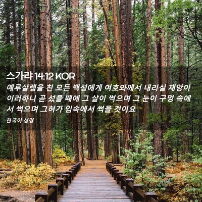 Picture 02 - 스가랴 14:12 KOR - 예루살렘을 친 모든 백성에게 - Bible Verse Picture