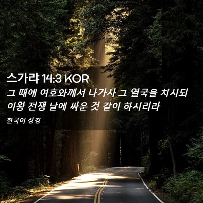 Picture 02 - 스가랴 14:3 KOR - 그 때에 여호와께서 나가사 그 - Bible Verse Picture
