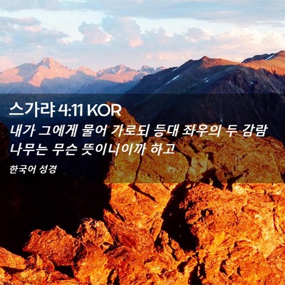 Picture 02 - 스가랴 4:11 KOR - 내가 그에게 물어 가로되 등대 - Bible Verse Picture