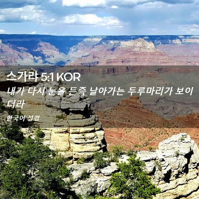 Picture 02 - 스가랴 5:1 KOR - 내가 다시 눈을 든즉 날아가는 - Bible Verse Picture