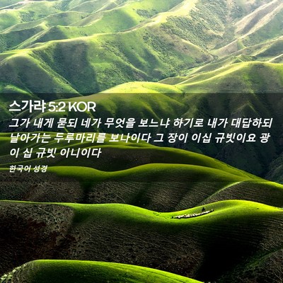 Picture 02 - 스가랴 5:2 KOR - 그가 내게 묻되 네가 무엇을 보느냐 - Bible Verse Picture