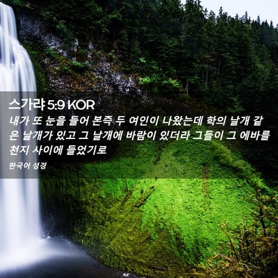 Picture 02 - 스가랴 5:9 KOR - 내가 또 눈을 들어 본즉 두 여인이 - Bible Verse Picture