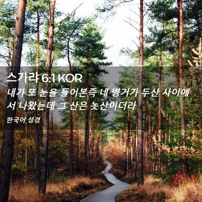 Picture 02 - 스가랴 6:1 KOR - 내가 또 눈을 들어본즉 네 병거가 - Bible Verse Picture