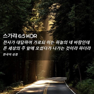 Picture 02 - 스가랴 6:5 KOR - 천사가 대답하여 가로되 이는 하늘의 - Bible Verse Picture