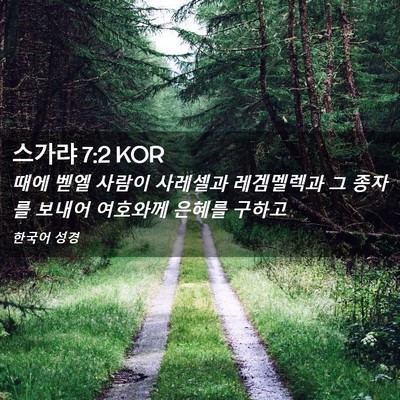 Picture 02 - 스가랴 7:2 KOR - 때에 벧엘 사람이 사레셀과 - Bible Verse Picture