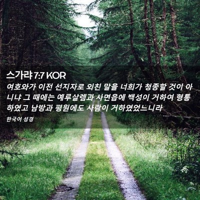 Picture 02 - 스가랴 7:7 KOR - 여호와가 이전 선지자로 외친 말을 - Bible Verse Picture