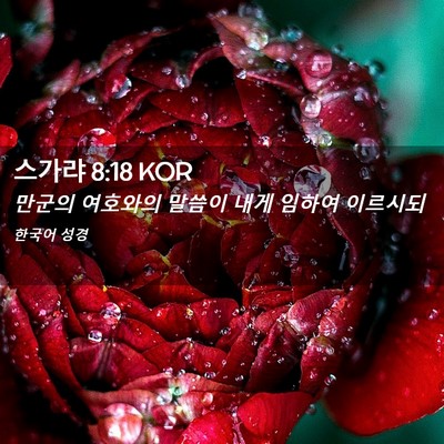 Picture 02 - 스가랴 8:18 KOR - 만군의 여호와의 말씀이 내게 임하여 - Bible Verse Picture