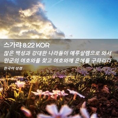 Picture 02 - 스가랴 8:22 KOR - 많은 백성과 강대한 나라들이 - Bible Verse Picture