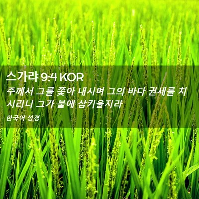 Picture 02 - 스가랴 9:4 KOR - 주께서 그를 쫓아 내시며 그의 바다 - Bible Verse Picture
