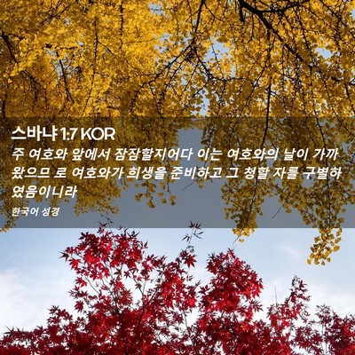 Picture 02 - 스바냐 1:7 KOR - 주 여호와 앞에서 잠잠할지어다 이는 - Bible Verse Picture